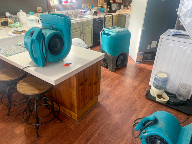 Best Basement water damage restoration  in Lowell, NC