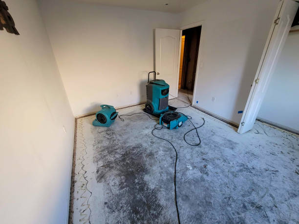 Water damage restoration insurance claims in Lowell, NC