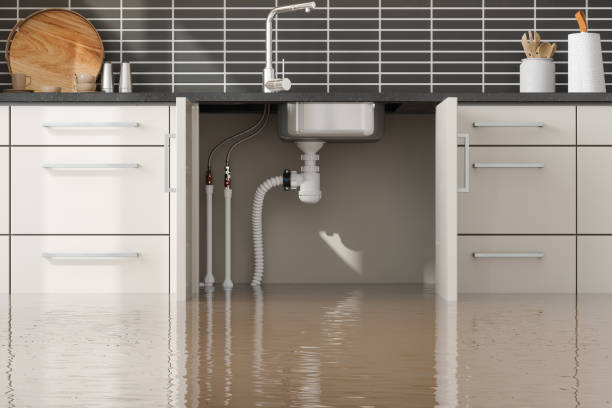 Best Flood damage cleanup  in Lowell, NC